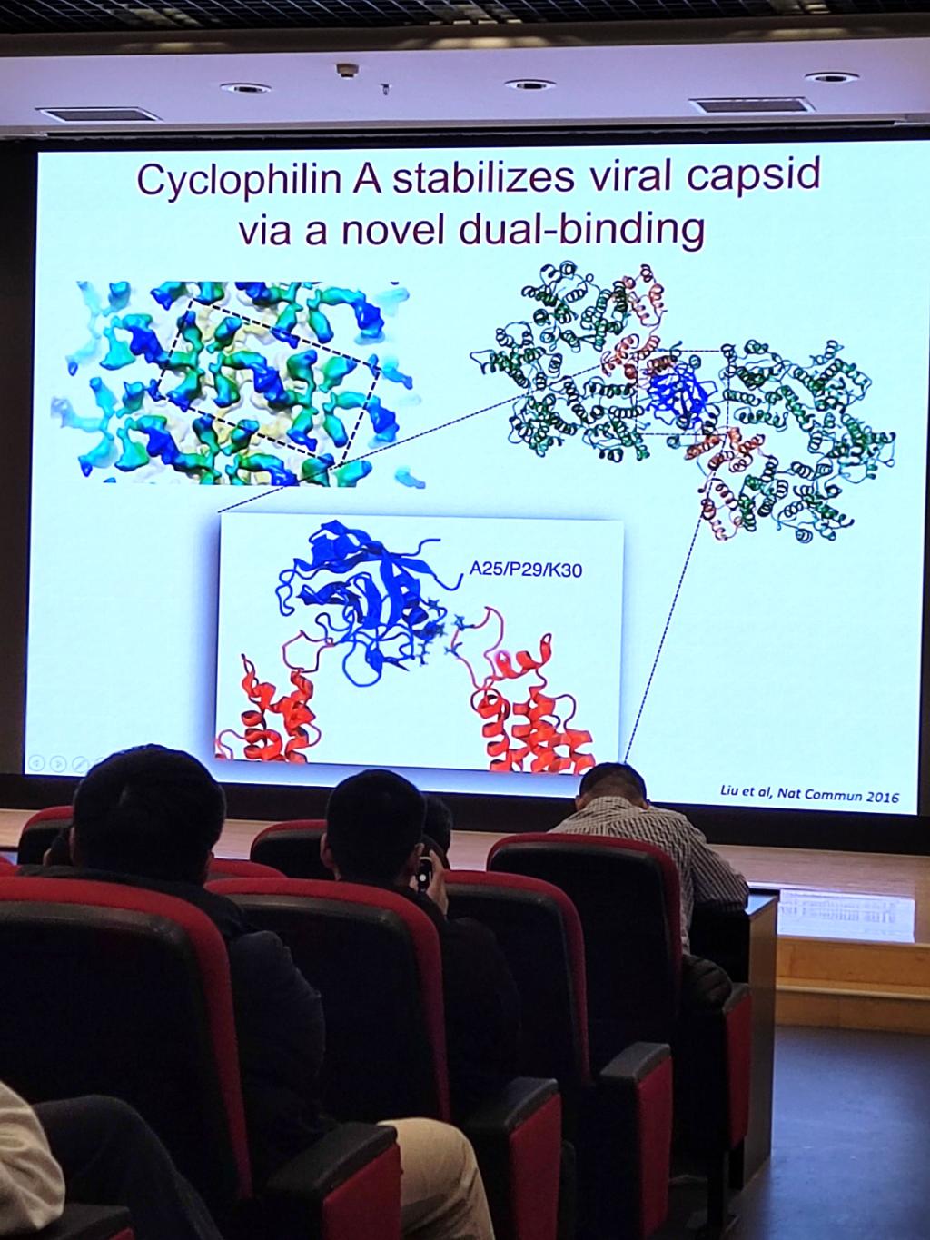 undefined
